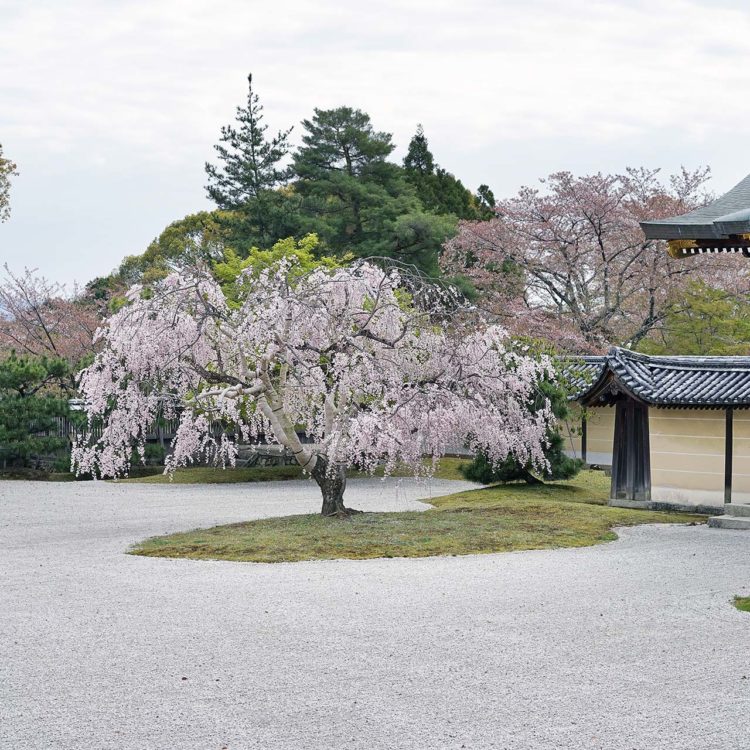 京都2018